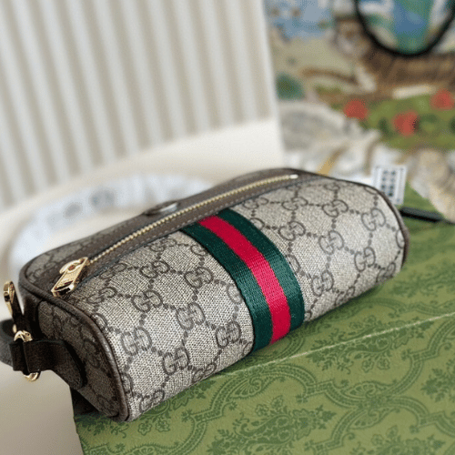 Gucci Ophidia Gg Mini Camera Bag Brown 6.3 Inches