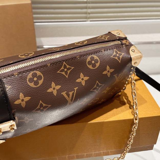 Louis Vuitton Slim Trunk Monogram Chain Bag