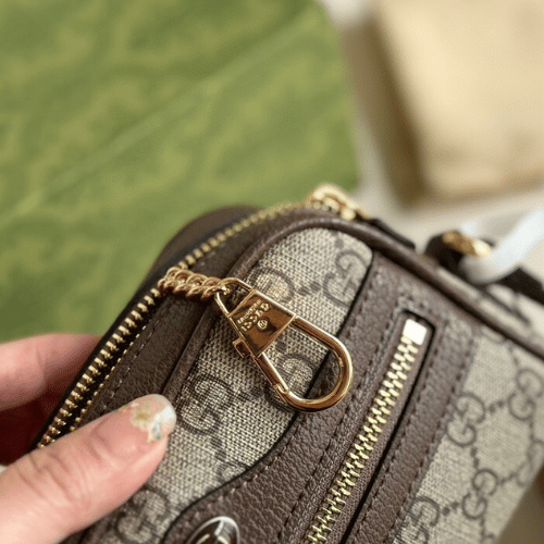 Gucci Ophidia Gg Mini Camera Bag Brown 6.3 Inches