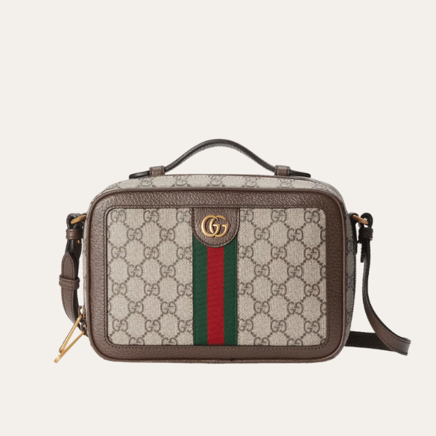 Gucci Ophidia Small Camera Bag Beige 9.4 Inches 739392 96LWT 8745